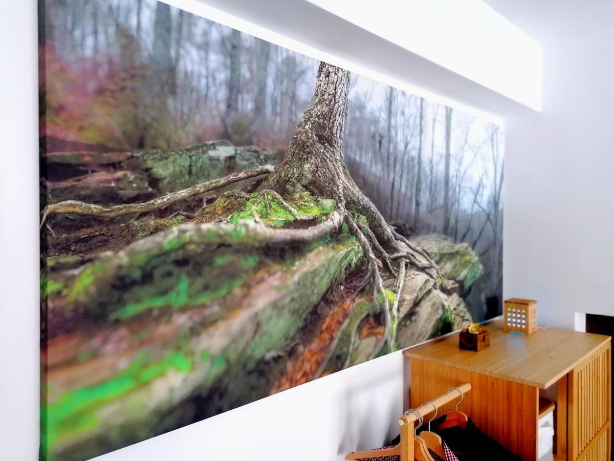Wooden Touch Studio Braşov Dış mekan fotoğraf